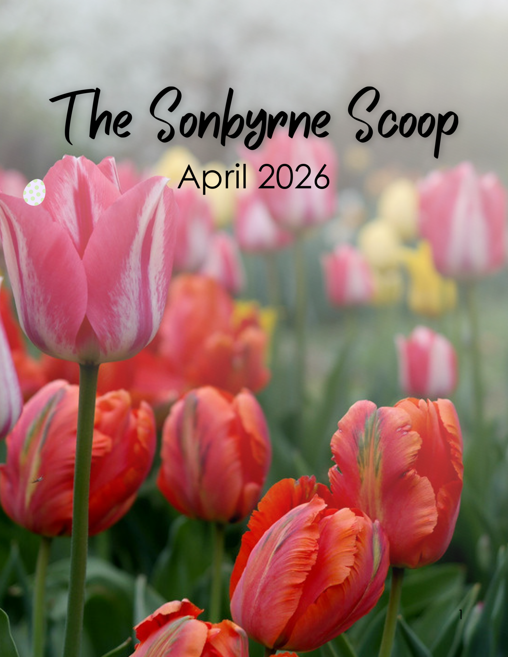 Sonbyrne Scoop April 2026 tulip cover